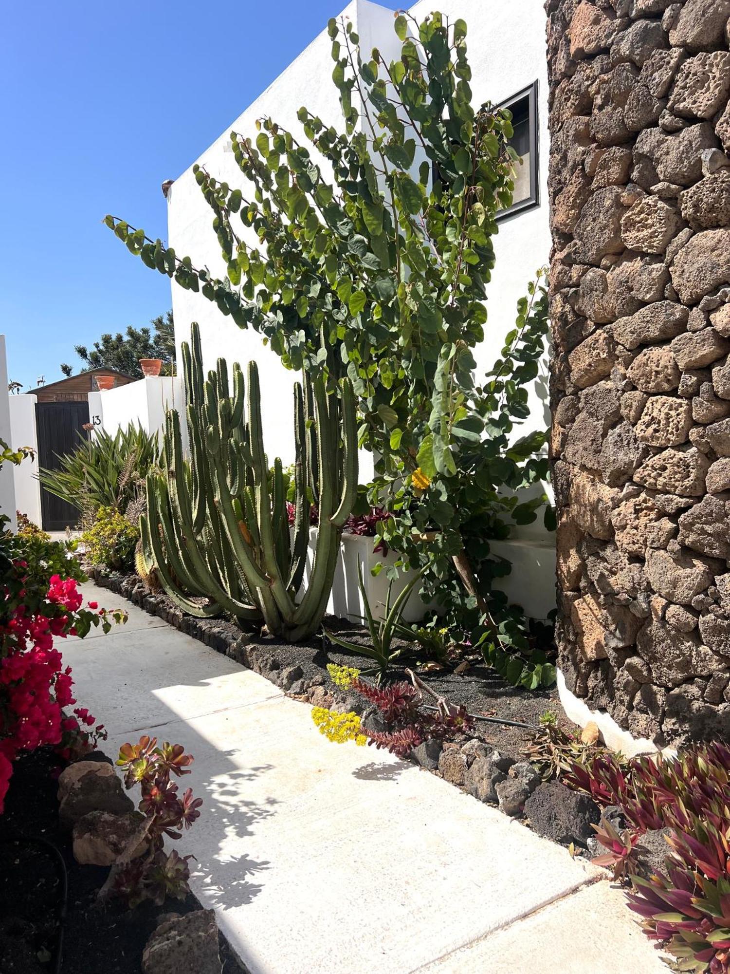 Oasis En Lanzarote Villa Costa Teguise Luaran gambar